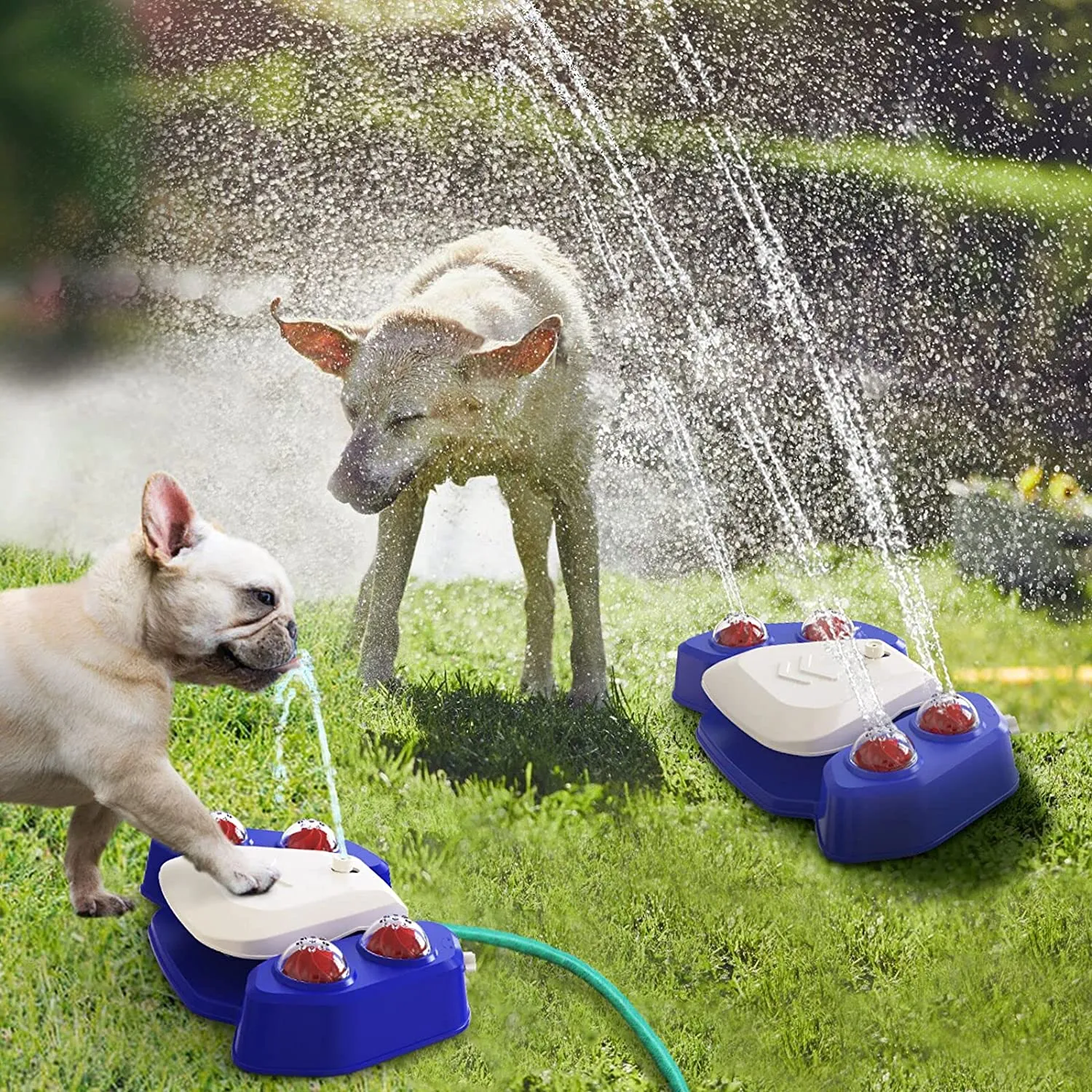 Adamanta 427 fontanella acqua cani da giardino