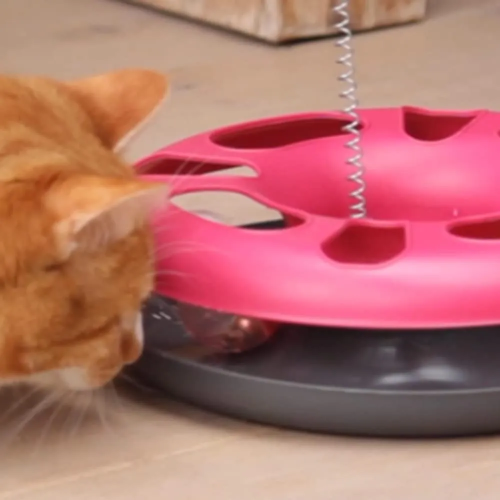Euromarketing Crazy Cat Donut gioco per gatti 3 in 1