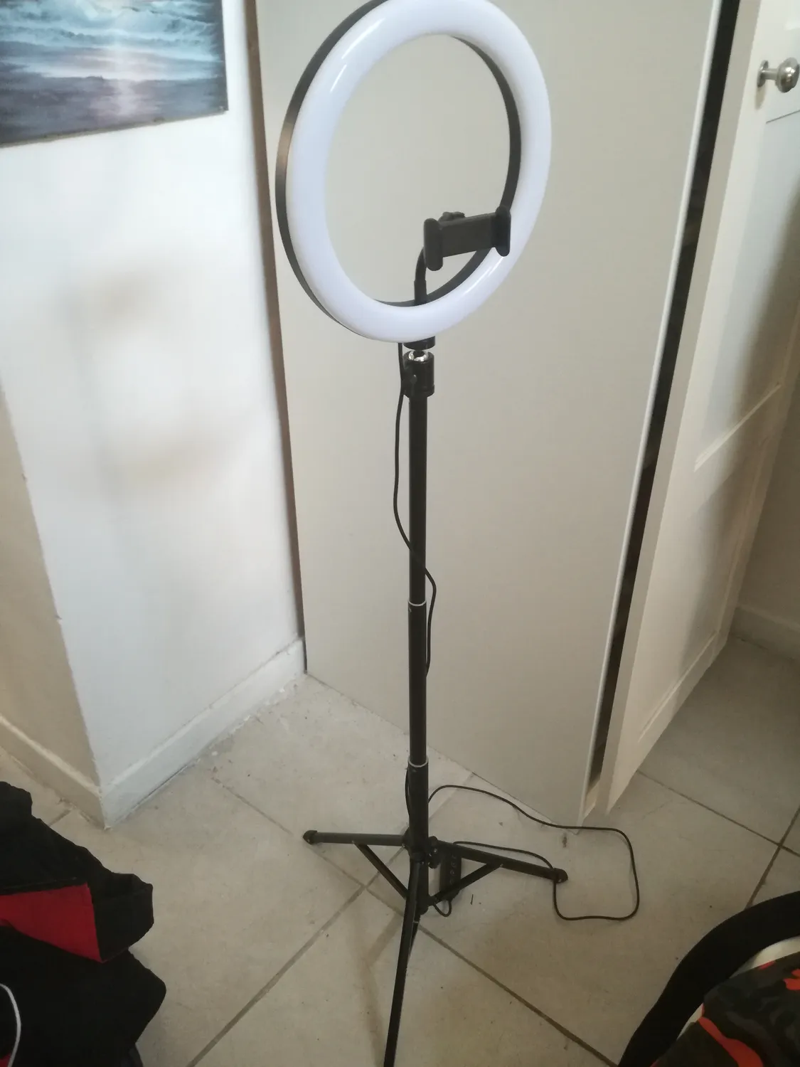Action Ring Light luce ad anello 10 pollici con treppiede RGB