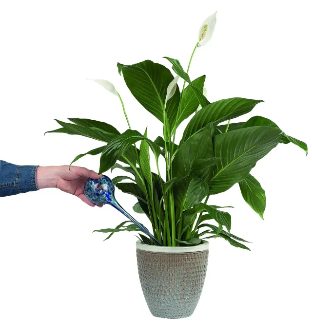 Euromarketing Watering Globes Irrigatori Vetro 2 Pezzi 300 ml