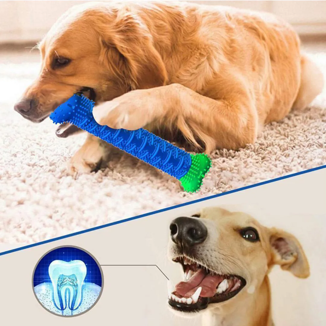 ADAMANTA Dental chew toy for dogs spazzolino dentale per cani