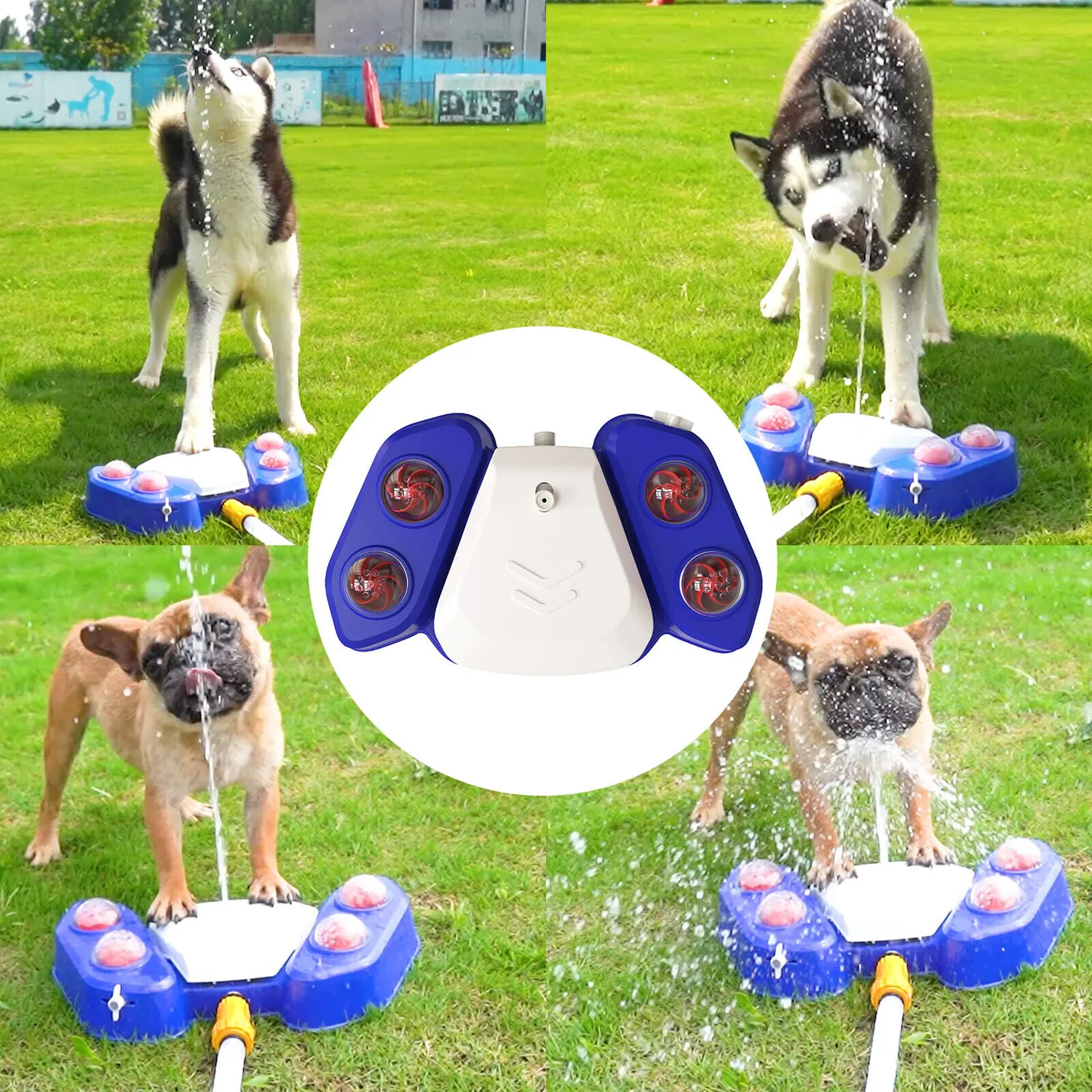 Adamanta 427 fontanella acqua cani da giardino