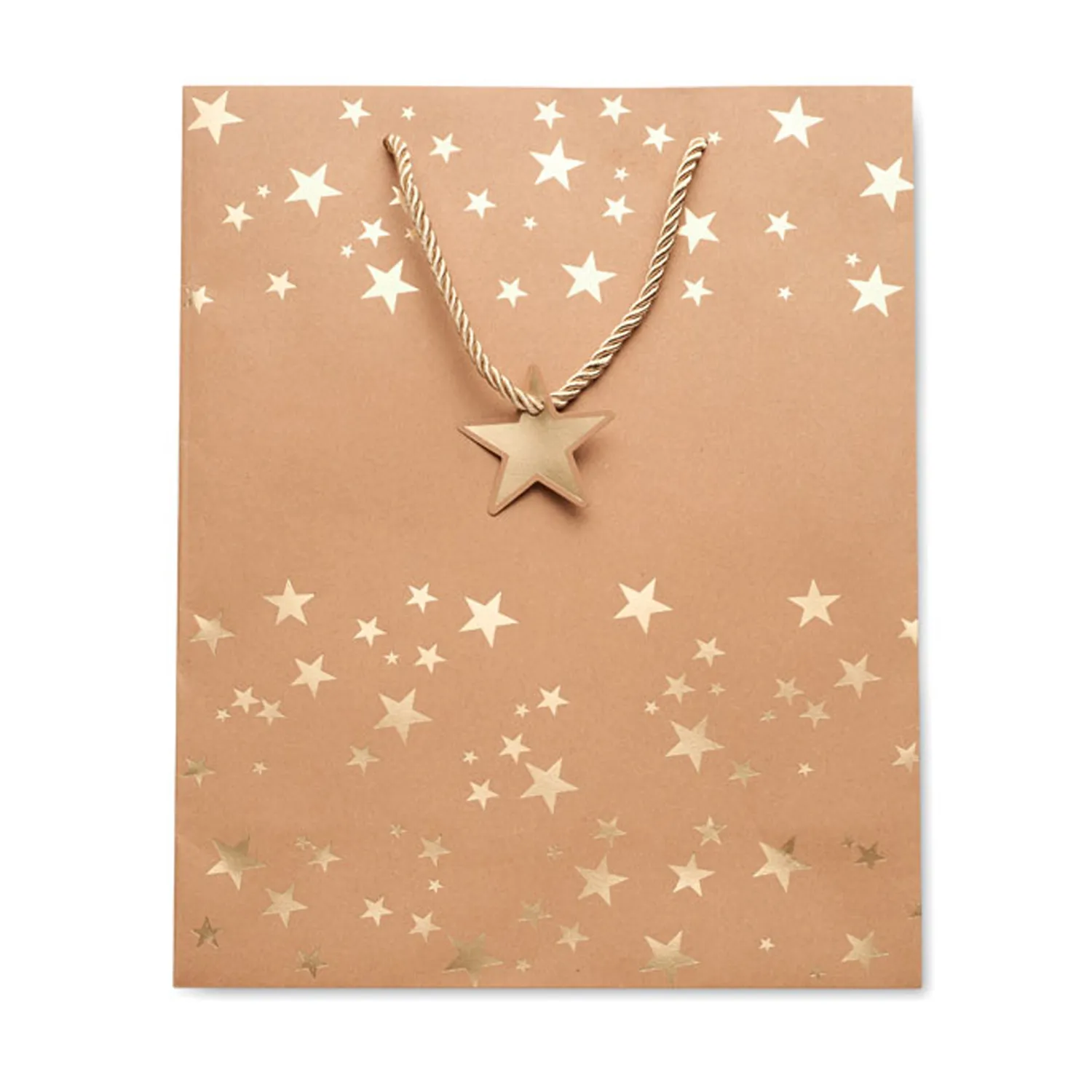 3BPRO CX1497 sacchetto regalo carta kraft 25x11x32cm 250g