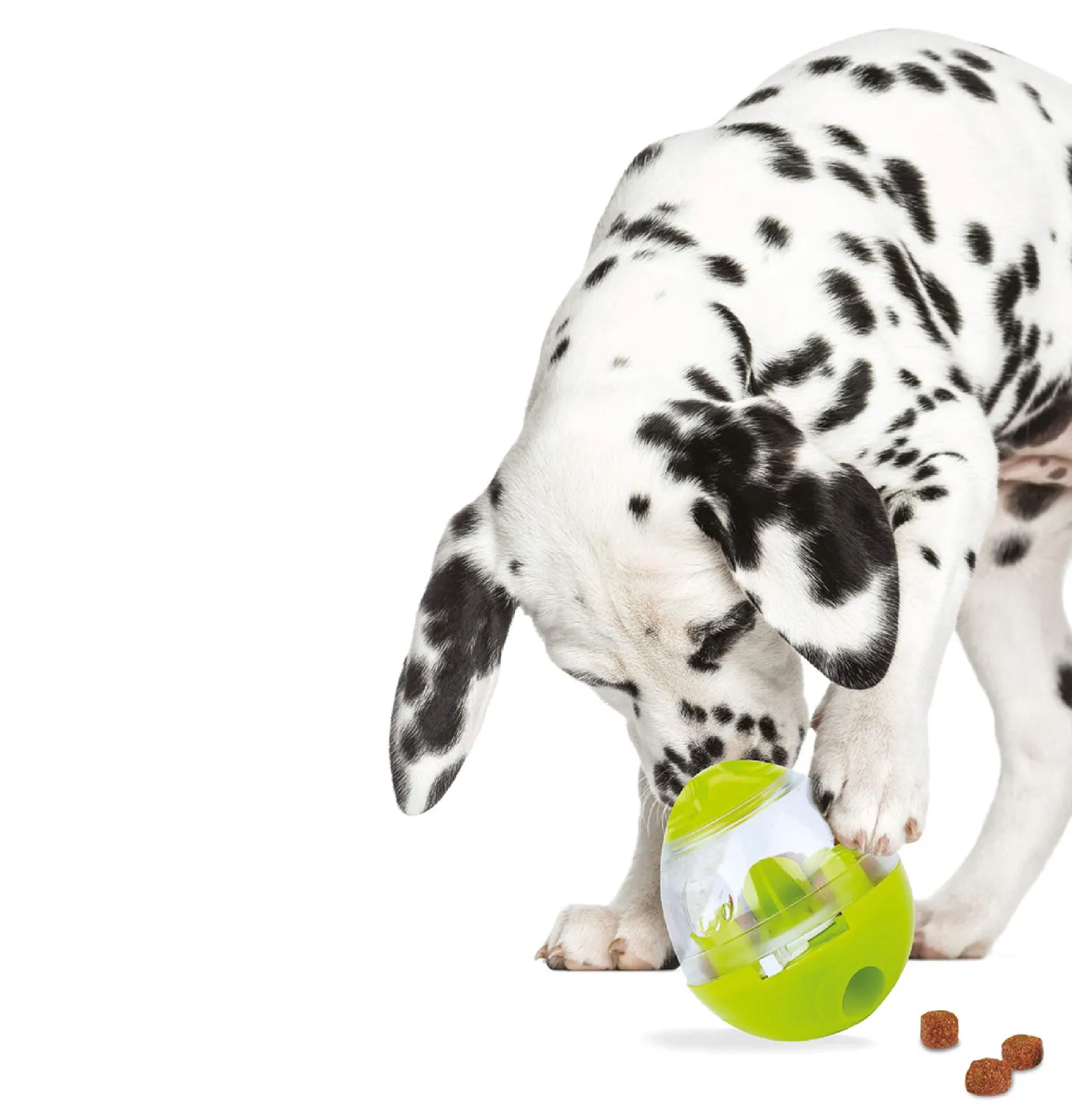 Euromarketing Doggies Egg gioco per cani distributore snack