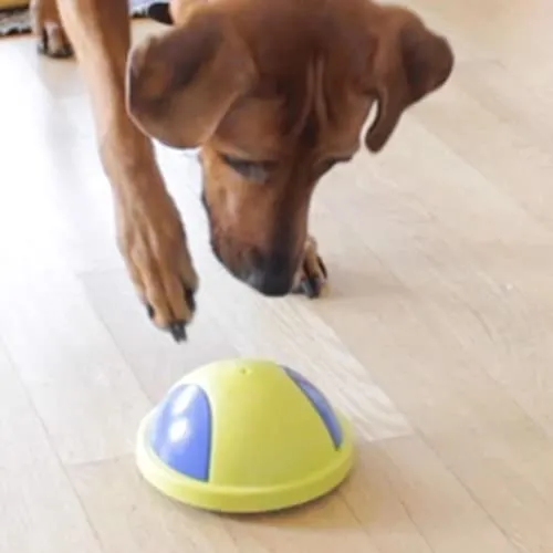 EUROMARKETING Doggie Overball gioco per cani palla sonora
