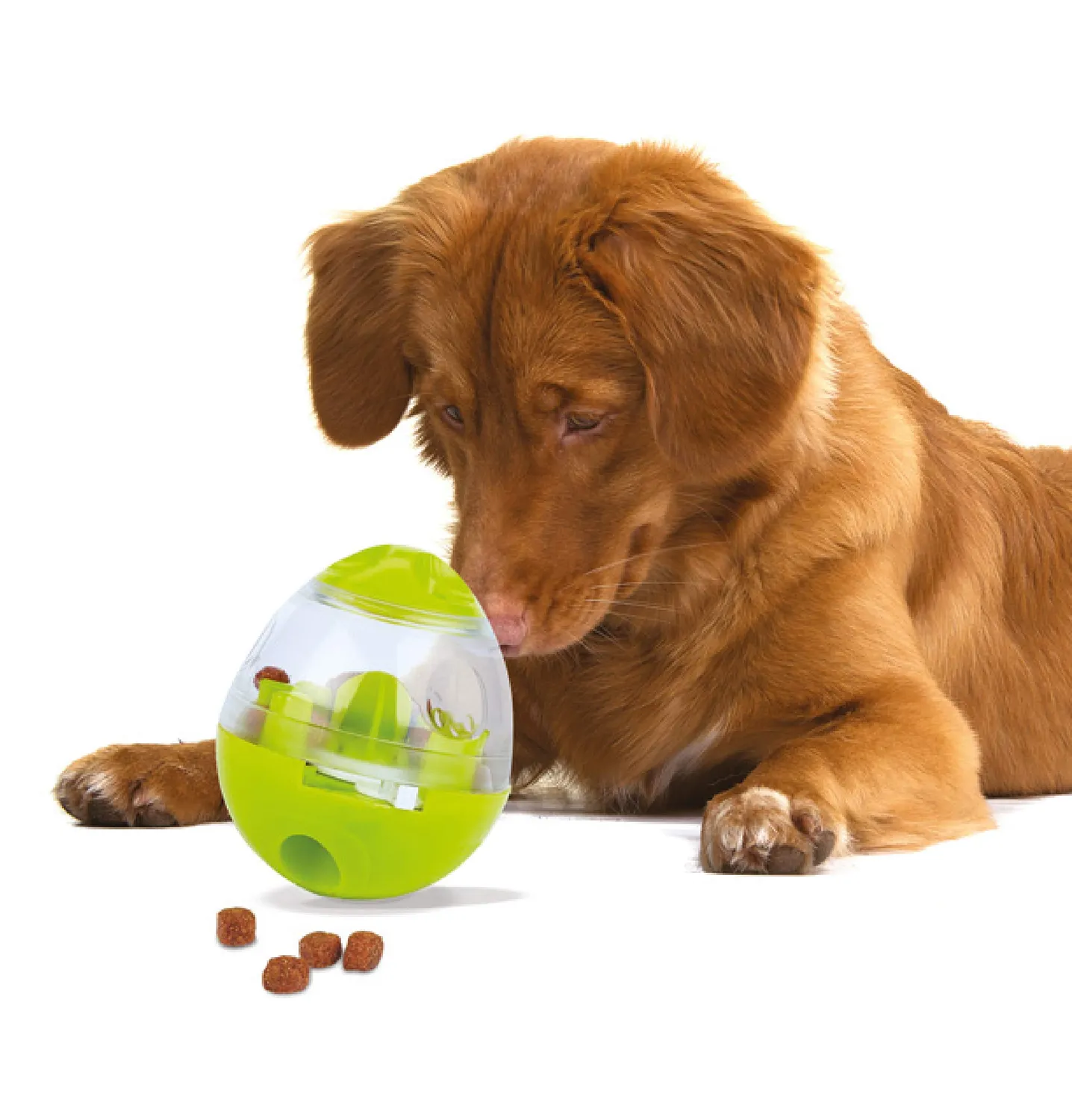 Euromarketing Doggies Egg gioco per cani distributore snack
