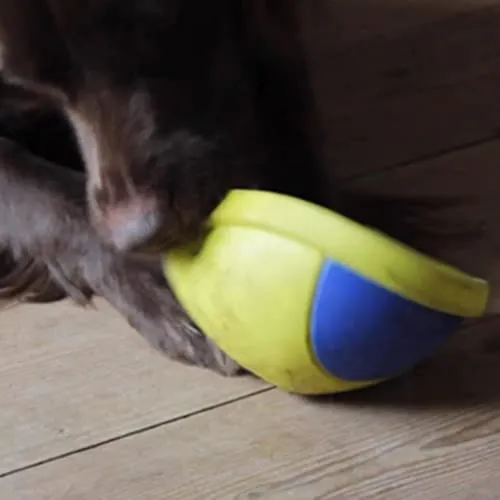 EUROMARKETING Doggie Overball gioco per cani palla sonora