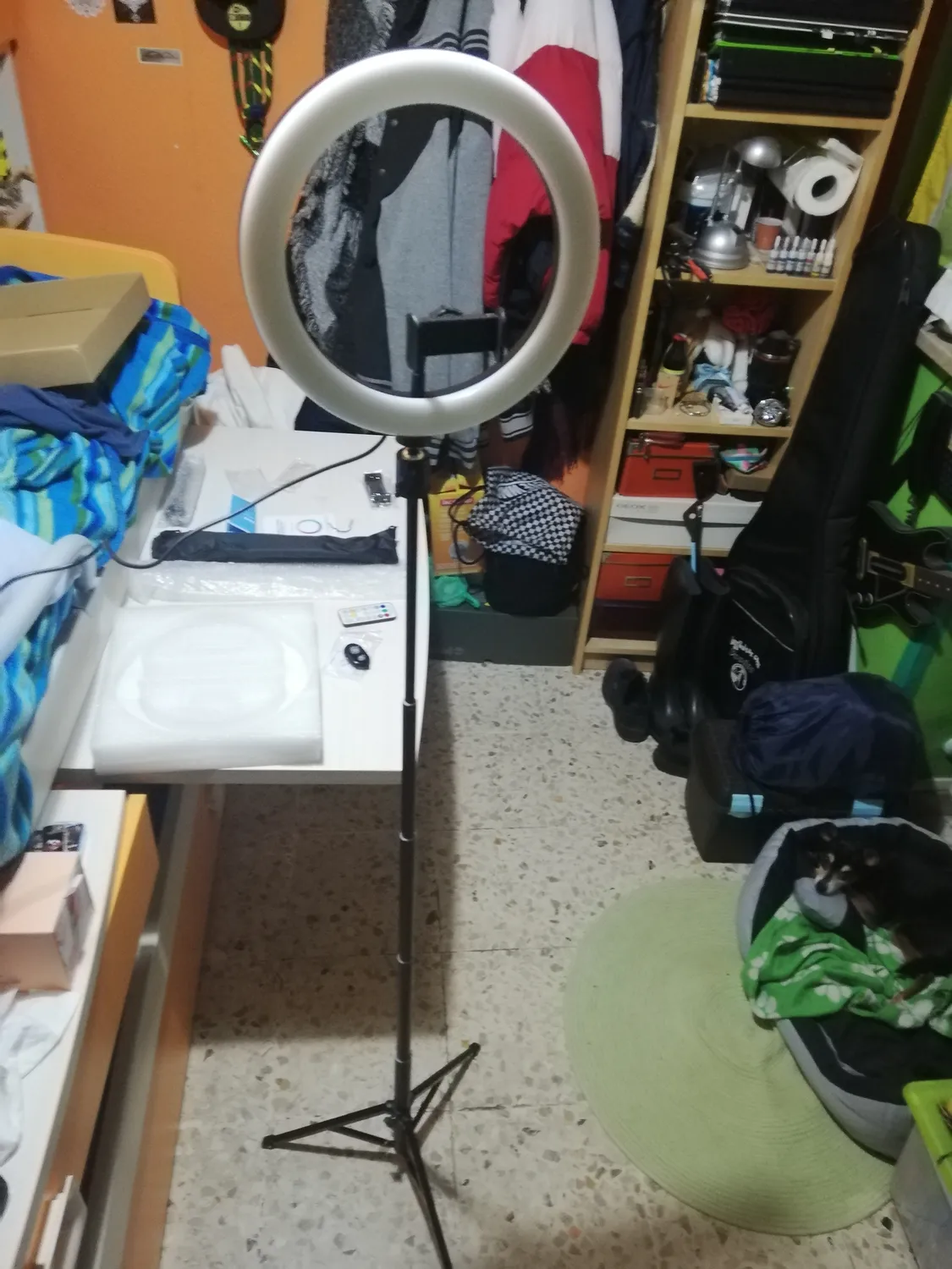 Action Ring Light luce ad anello 10 pollici con treppiede RGB