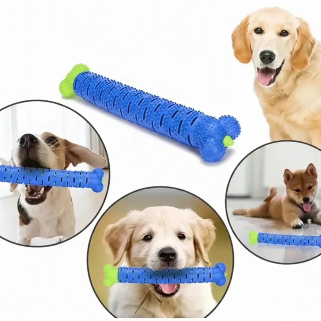 ADAMANTA Dental chew toy for dogs spazzolino dentale per cani