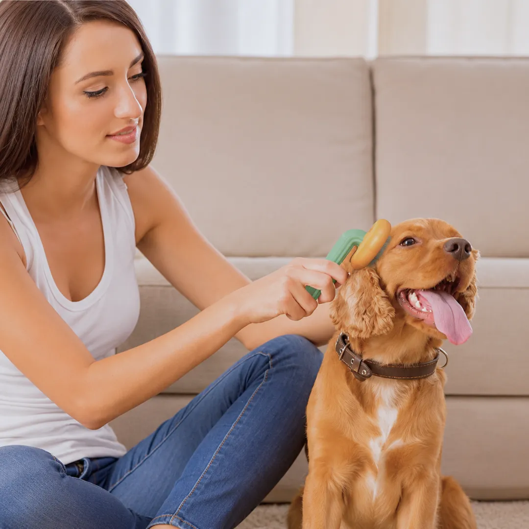 ADAMANTA 3010 Spazzola Autopulente Cani e Gatti Pin Acciaio