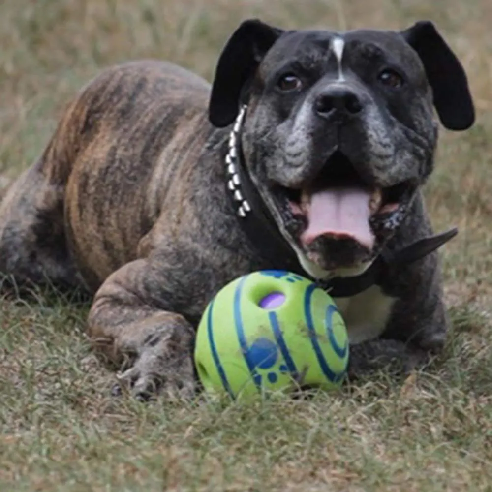 Euromarketing Doggies Ball palla per cani sonora interattiva