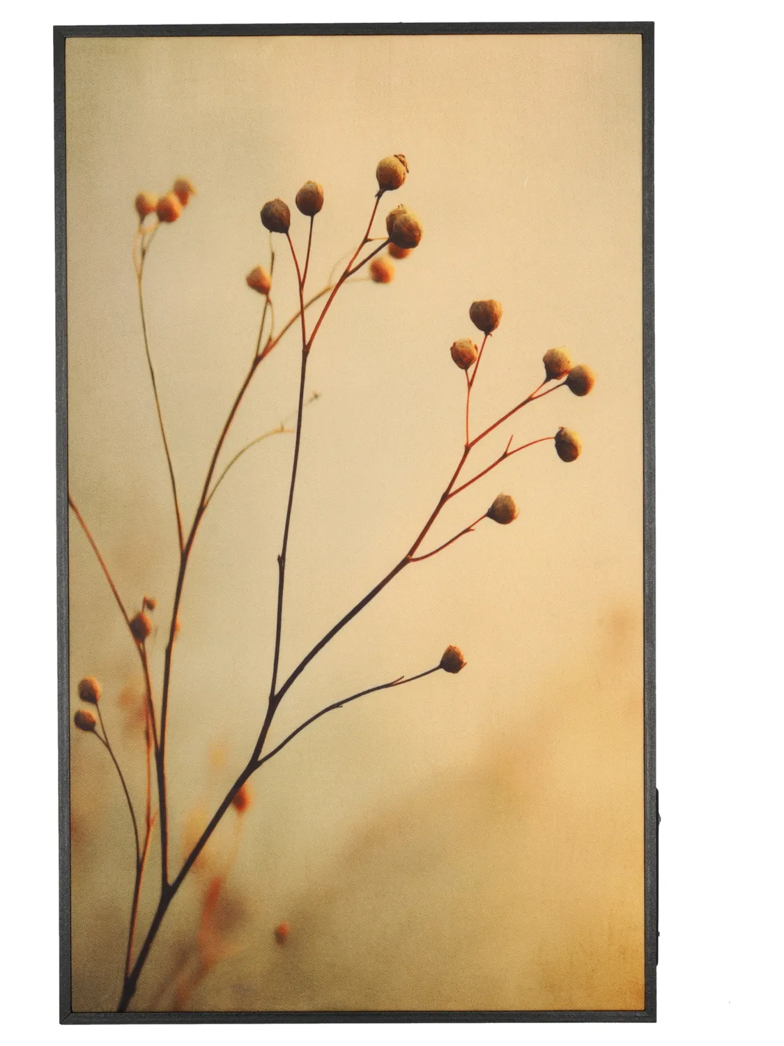 Wibra Connect Quadro Speaker Bluetooth 30x50 cm Beige