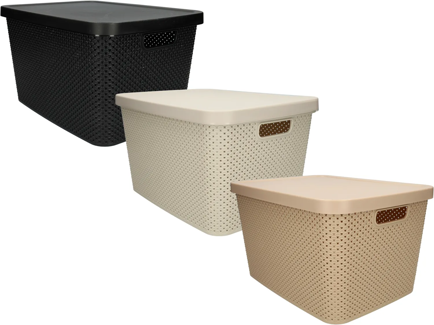 Wibra box contenitore con coperchio in plastica