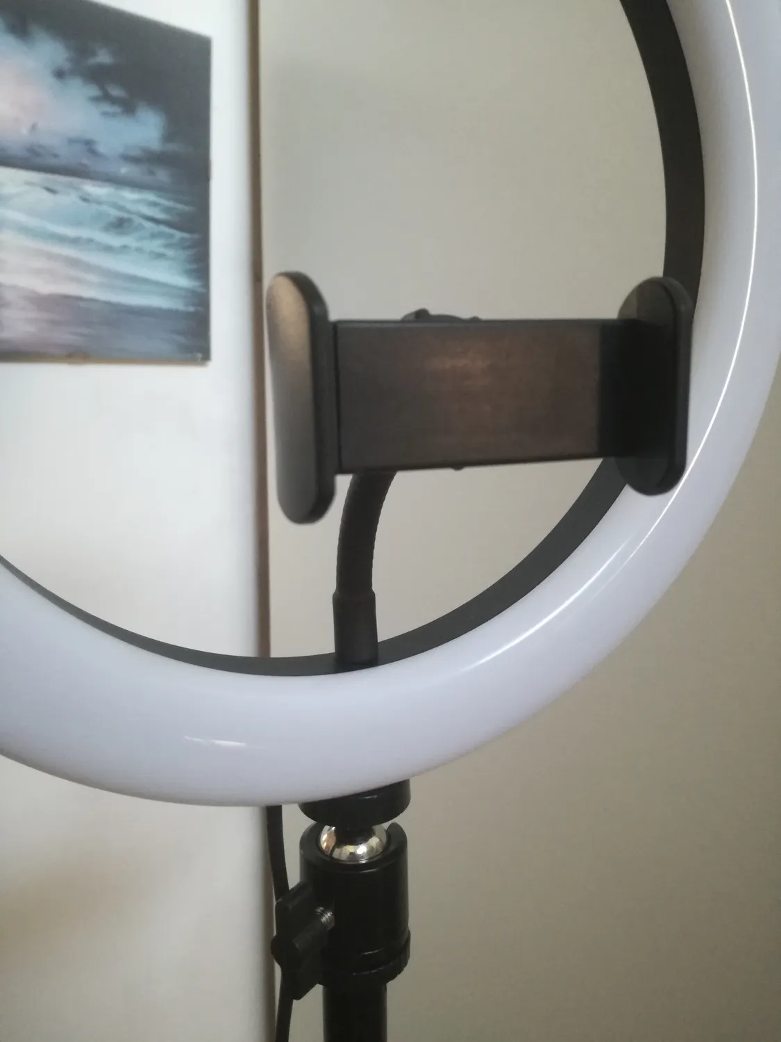 Action Ring Light luce ad anello 10 pollici con treppiede RGB