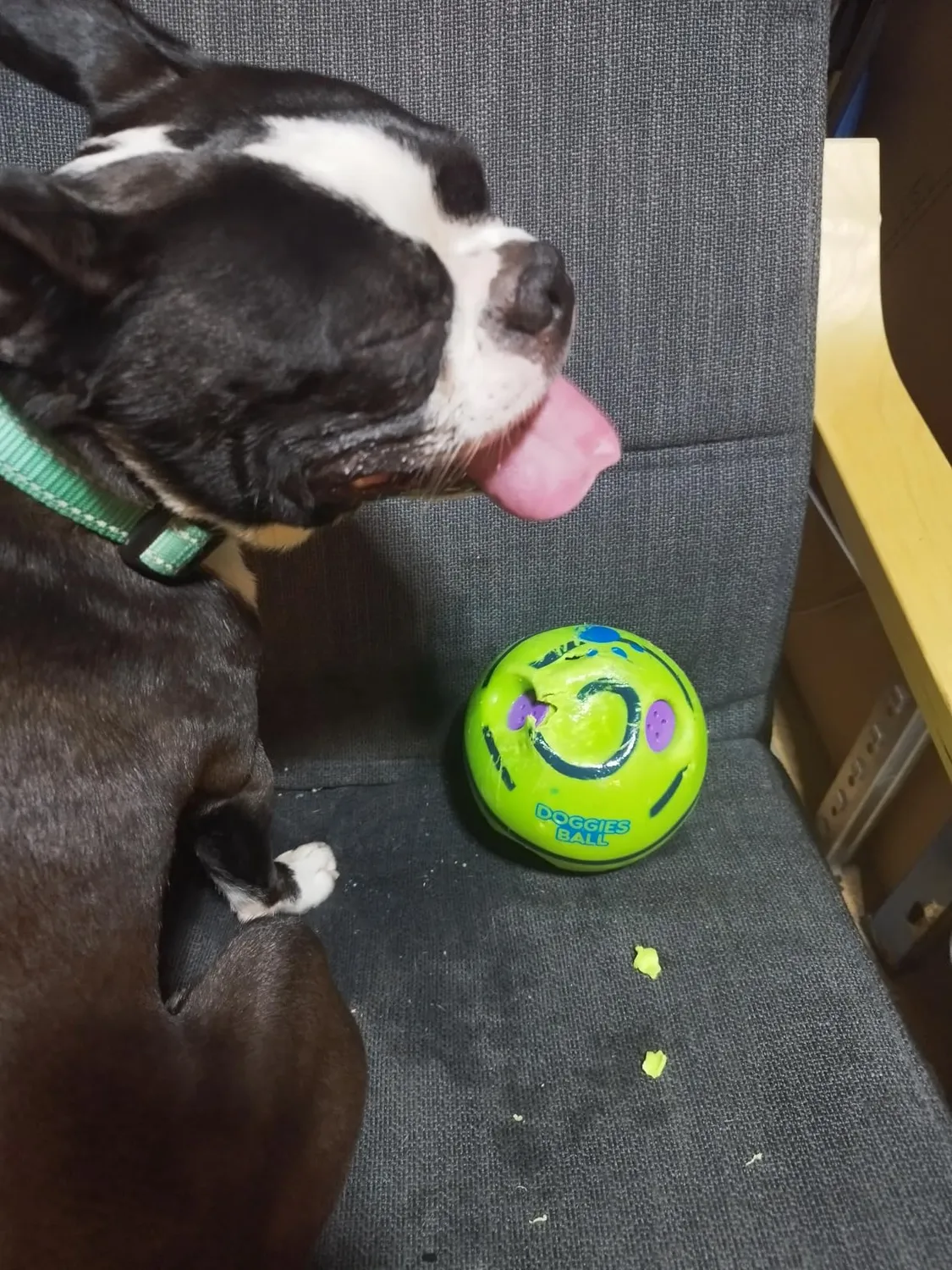 Euromarketing Doggies Ball palla per cani sonora interattiva