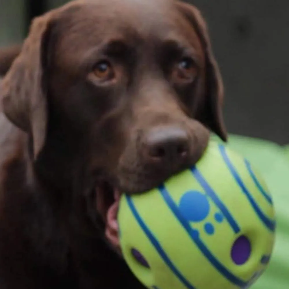 Euromarketing Doggies Ball palla per cani sonora interattiva