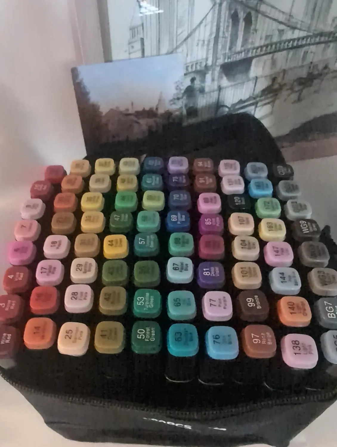 KAEFUYS Pennarelli 80 Colori Doppia Punta Alcool