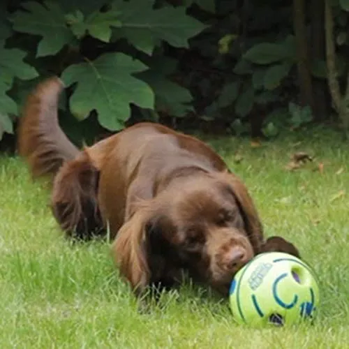 Euromarketing Doggies Ball palla per cani sonora interattiva
