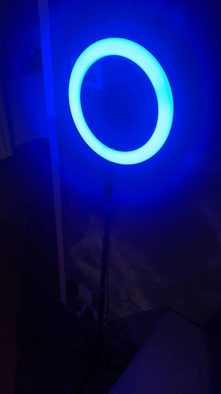 Action Ring Light luce ad anello 10 pollici con treppiede RGB