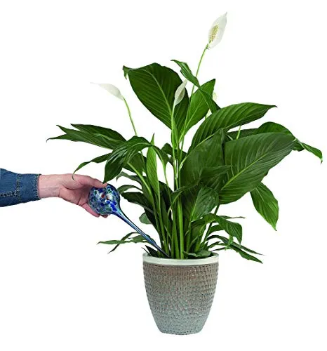 Euromarketing Watering Globes Irrigatori Vetro 2 Pezzi 300 ml