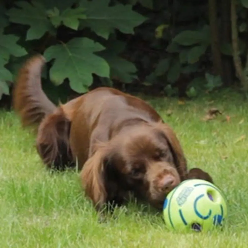 Euromarketing Doggies Ball palla per cani sonora interattiva