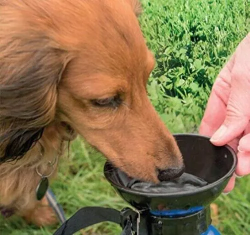 Euromarketing Aqua Pet borraccia per cani con ciotola viaggio