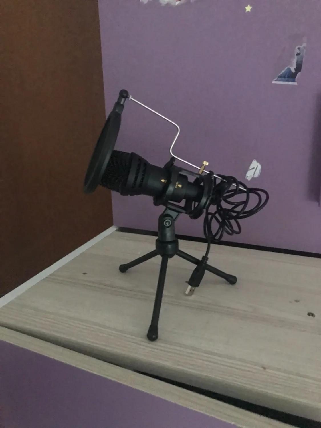 Action Microfono USB PC Condensatore con Treppiede