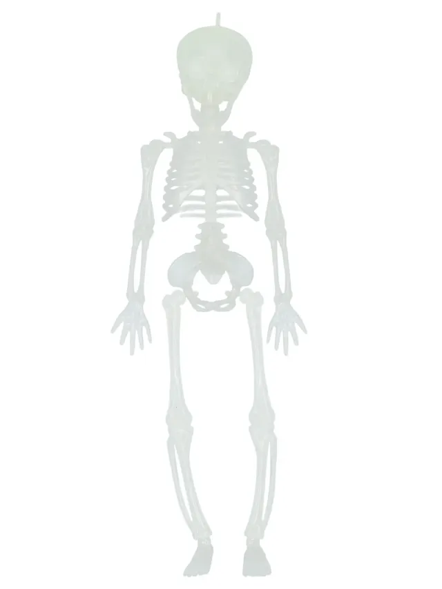 Scheletro Halloween Fosforescente 28,5 cm