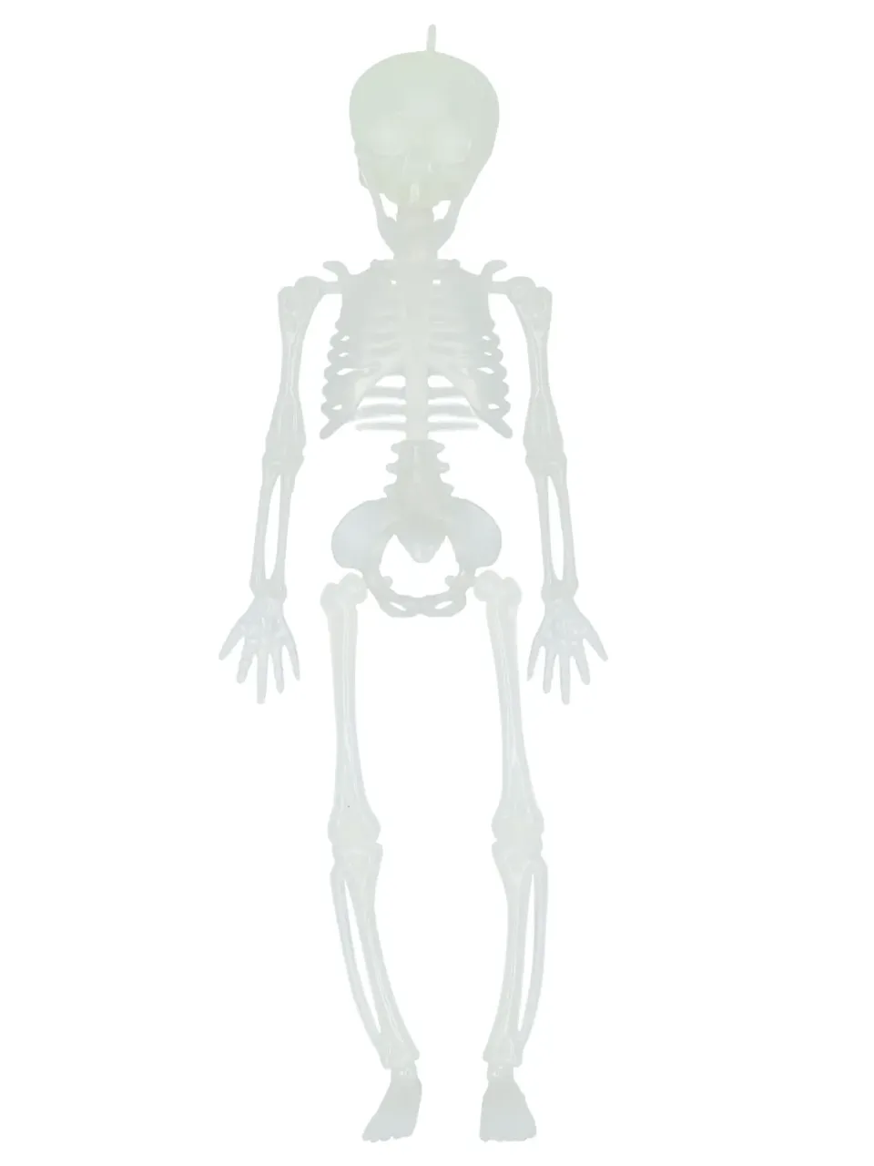 Scheletro Halloween Fosforescente 28,5 cm