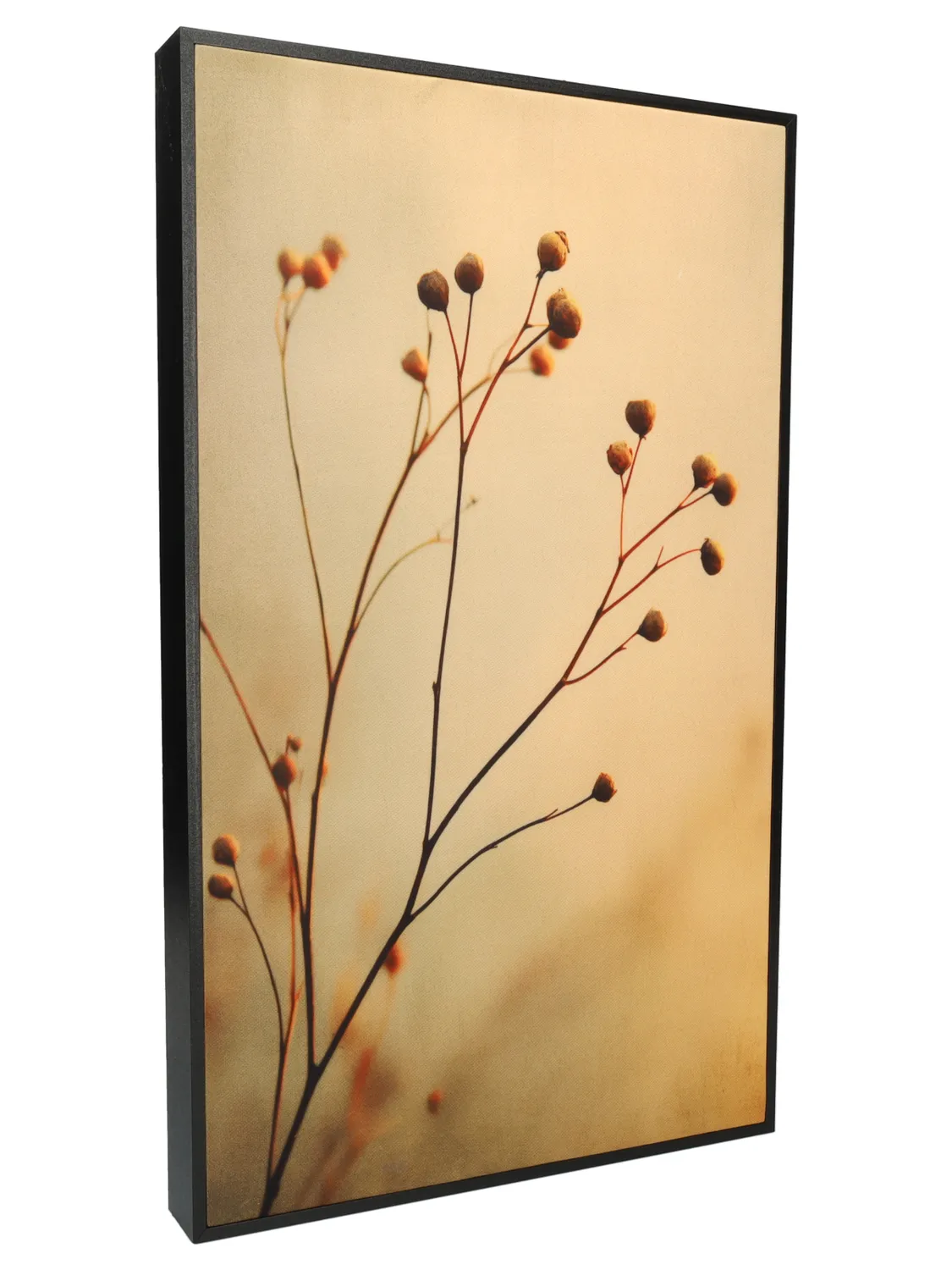 Wibra Connect Quadro Speaker Bluetooth 30x50 cm Beige