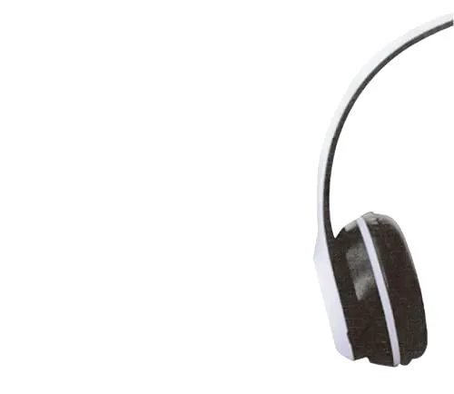 Euromarketing Cuffie Wireless Bluetooth con Radio FM