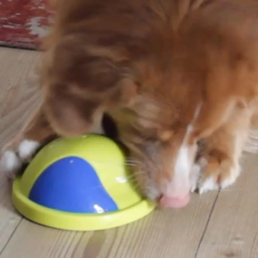 EUROMARKETING Doggie Overball gioco per cani palla sonora