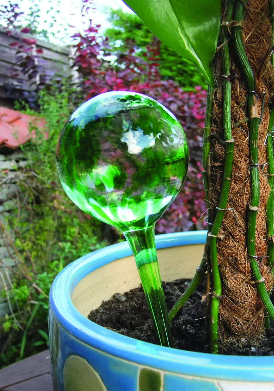 Euromarketing Watering Globes Irrigatori Vetro 2 Pezzi 300 ml
